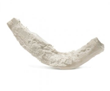TUTOPLAST® CARTILAGE